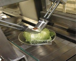 Maschine: TURATTI Type 1507-03 Entstrunkmaschinen für Kohl und Kraut