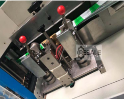 Maschine: NNEWEST 250 Automatische horizontale Verpackungsmaschinen