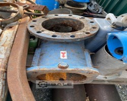 Maschine: WANGEN ESP KL50S 92.0 Exzenterpumpen