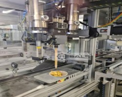 Maschine: EPSON  Schraubstation, Dosierstation