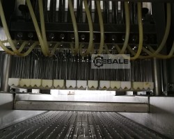 Maschine: FOMACO FGM 208 B Pökelinjektoren