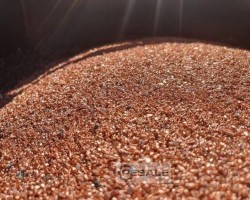 Maschine: TECNOECOLOGY T150 Kabelgranulieranlagen