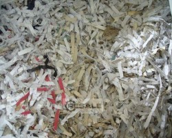 Maschine: INTIMUS / SCHLEICHER 16.8 Baling press 860 Schredder