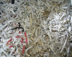 Maschine: INTIMUS 16.86 Baling presses 860 Aktenvernichter