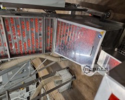 Maschine: GASSNER  Verschlusskappenförderer