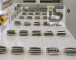 Maschine: MIFLEX-MASZ SP-200 Beutelverpackung