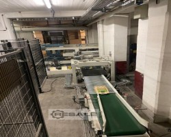 Maschine: GOLDPACK PAL 2800 + AOP 151 Palettierer