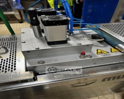 Maschine: MULTIVAC R245 Tiefzieher