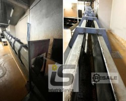 Maschine:  80 pieces / hour Schlachtlinie für Schweine