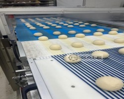 Maschine: BERTUETTI Universal Linie Kontinuierliche Anlage für eckige und runde Teige