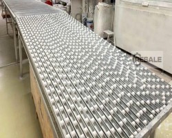 Maschine: GIARDINA Motorised roller table Spritzstrassen