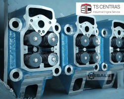 Maschine: MWM TCG2032B Zylinderköpfe