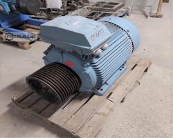 Maschine: ABB M3BP 280SMA 4 Elektromotor 75KW 1485 U/min