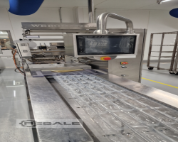 Maschine: WEBOMATIC APS ML 4600 Vakuumtiefziehmaschinen