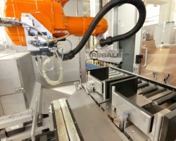 Maschine: TRANSNOVA-RUF / ABB Robot-Packer Tubenverpackungsanlage