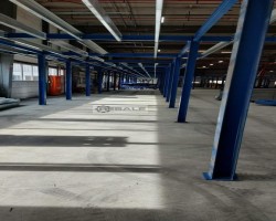 Maschine: PRO MAN Lagerbühne Stahlbau - , 500kg/m2, ca. 2.000 m2