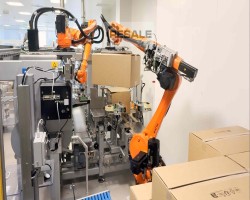 Maschine: TRANSNOVA-RUF Flex Line RV-400 Kartonverpackungslinien