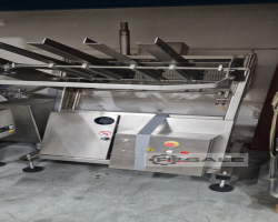 Maschine: PFM FALCON.EL.INOX.SX Schlauchbeutelmaschinen