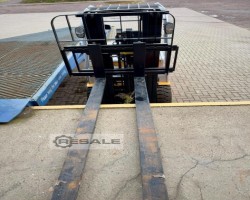 Maschine: EVERLIFT MACHINERY LTD FB30E Gabelstapler
