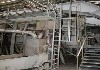 Maschine: ERMAFA RECYCLING RA 1200-350 , Agglomerator Agglomerator