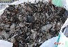 Maschine: ALREC-TEC GMBH Metall-Kicker 400 Metallseparator