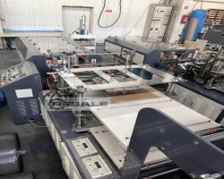 Maschine: RUIAN QUEENSENSE DHB-500 folienhandschuh Produktionslinie