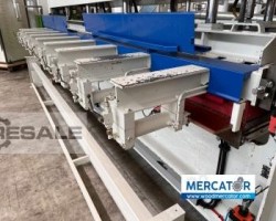 Maschine: ORMA LS/R-45/13-HF Verleimpressen