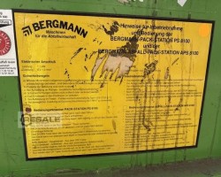 Maschine: BERGMANN PS 8100E Papierpressen