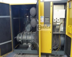 Maschine: KAESER ESD441 