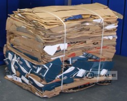 Maschine: BTS MF75MK Ballenpresse Kartonage