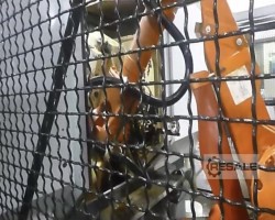 Maschine: REISHAUER RZ362A Zahnradschleifmaschinen