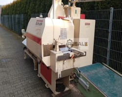 Maschine: RAIMANN KS 310 Vielblattsägen