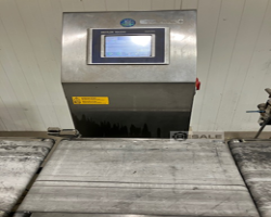 Maschine: ILAPACK M.TOLEDO ESPERA Carrera 500PC Vertikale Verpackungssysteme