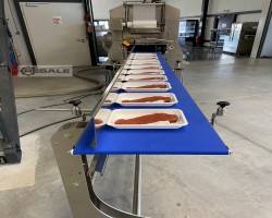 Maschine: ULMA TSA 680 Schalenversiegelungsmaschinen