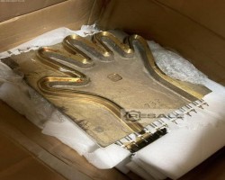 Maschine: RUIAN QUEENSENSE DHB-500 folienhandschuh Produktionslinie