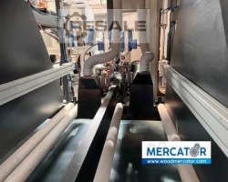 Maschine: LINEWOOD 5G 1600 Bürstenschleifmaschinen