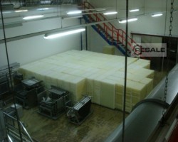 Maschine: ALPMA Kuagolator Käseherstellung