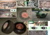 Maschine: AGRIA 9300 Spindelmäher