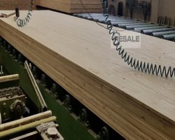 Maschine: TORWEGGE - WEINIG H292 -H22 BL with saws Verleimpressen