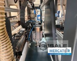 Maschine: LINEWOOD 5G 1600 Bürstenschleifmaschinen