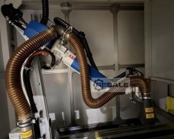 Maschine: SLCR LCS130151 Laserentlackungsanlage