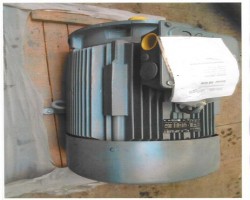 Maschine: VEM K25R 200 LY 4 Motor