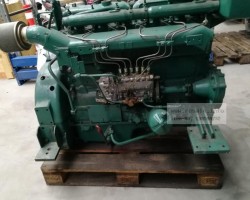 Maschine: DAF 825 Dieselmotoren