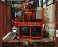 Maschine: MAN E2842LE302 Gasgeneratoren