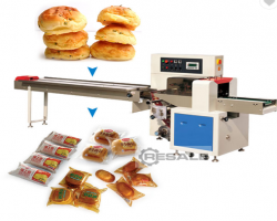 Maschine: NNEWEST 250 Automatische horizontale Verpackungsmaschinen