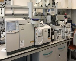Maschine: AGILENT GC/ MS 7890/5975 Gaschromatographen