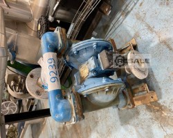 Maschine: SANDPIPER S15 B1INWABS000 Pumpen