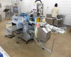 Maschine: FABBRI GROUP Elixa 35 Libra Stretchwickelmaschinen