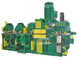Maschine: LEDINEK Rotoles 300 5V-KS200 Vierseitenhobelmaschinen