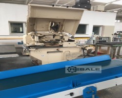 Maschine: RAIMANN ProfiRip KM 310 M Vielblattsägen